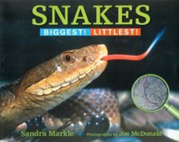 Imagem de SNAKES