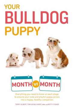 Imagem de YOUR BULLDOG PUPPY MONTH BY MONTH - EVERYTHING YOU NEED TO KNOW AT EACH STAGE TO ENSURE YOUR CUTE AND PLAYFUL PUPPY