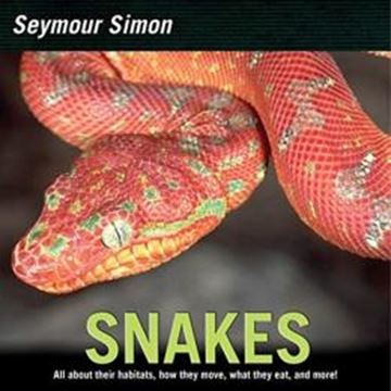 Imagem de SNAKES 