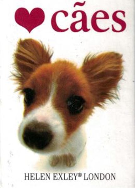 Picture of AMO CAES