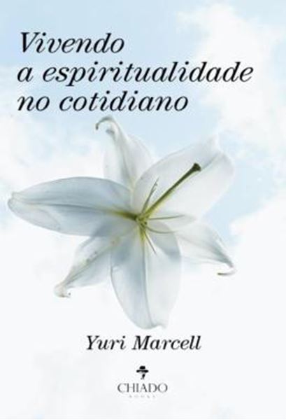 Picture of VIVENDO A ESPIRITUALIDADE NO COTIDIANO
