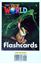 Imagem de OUR WORLD 1 - FLASHCARD SET - 2ND ED