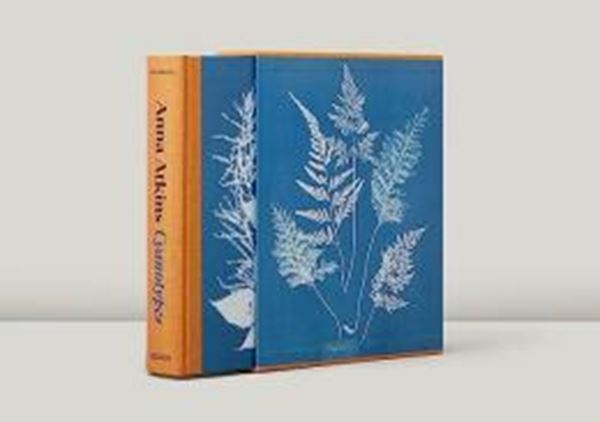 Picture of ANNA ATKINS - CYANOTYPES