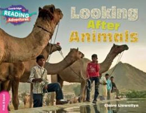 Picture of CAMBRIDGE READING ADVENTURES - LOOKING AFTER ANIMALS PINK B BAND