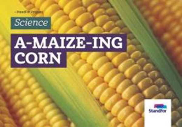 Picture of STANDFOR BILINGUAL - LEVEL 4 - V16 - A-MAIZE-ING CORN
