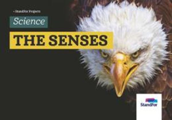 Picture of STANDFOR BILINGUAL - LEVEL 1 - V37 - THE SENSES