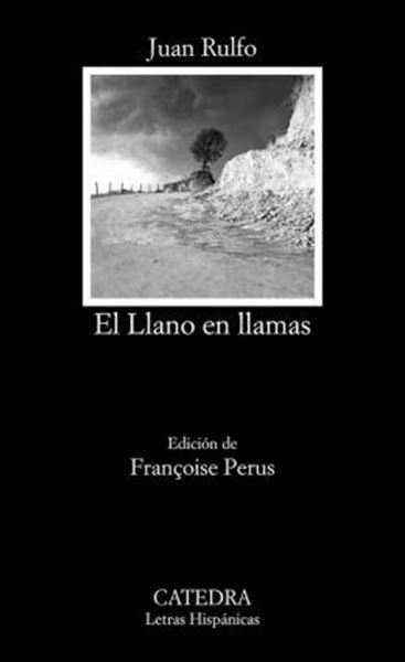 Picture of EL LLANO EN LLAMAS